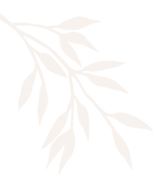 Nail Spa Palace Bellflower