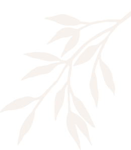 Nail Spa Palace Bellflower