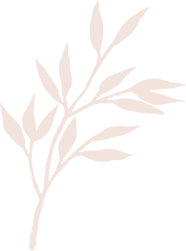 Nail Spa Palace Bellflower