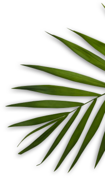 Nail Spa Palace Bellflower