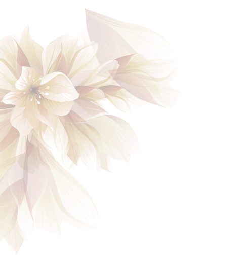 Nail Spa Palace Bellflower