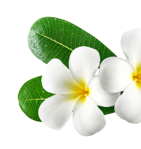 Nail Spa Palace Bellflower