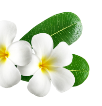 Nail Spa Palace Bellflower