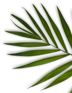 Nail Spa Palace Bellflower