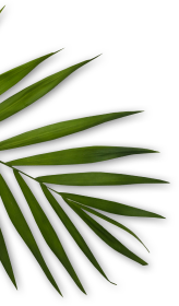 Nail Spa Palace Bellflower